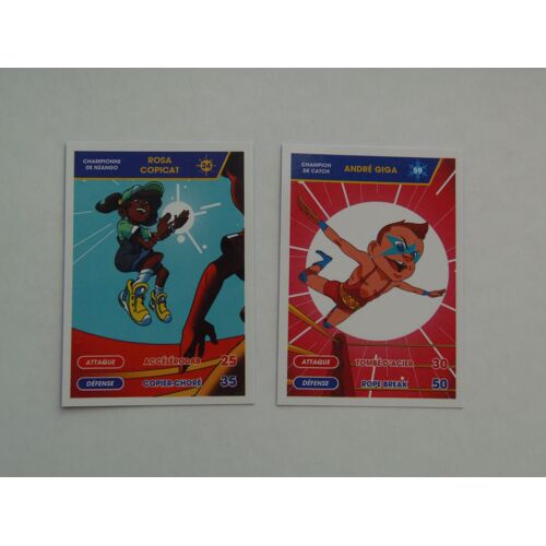 Lot De 2 Cartes Pitch Tour Du Monde Des Sports 24 Et 59