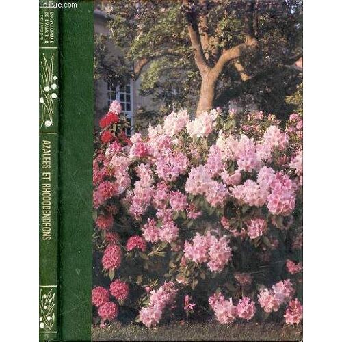 Rhododendrons. Azalées Et Camellias