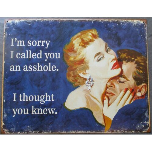 Plaque Humour Avec Pin Up I'm Sorry ....Deco Tole Usa