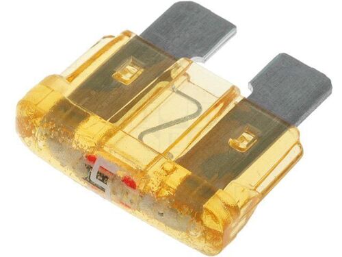 Fusible 5A 12VDC 19mm avec LED - ADNAuto