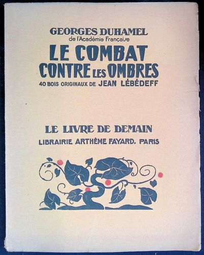 Le Combat Contre Les Ombres