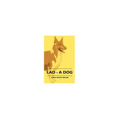 Lad - A Dog