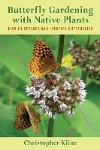 Butterfly Gardening With Native Plants: How To Attract And Identify Butterflies
