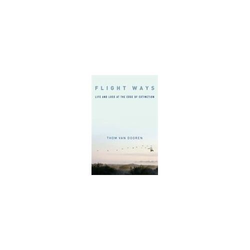 Flight Ways