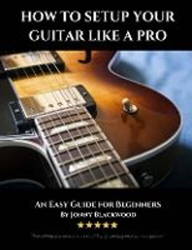 How To Setup Your Guitar Like A Pro