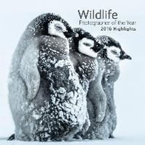 Wildlife Photographer Of The Year: 2016 Highlights