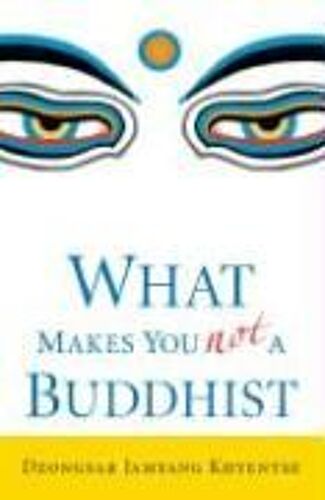What Makes You Not A Buddhist