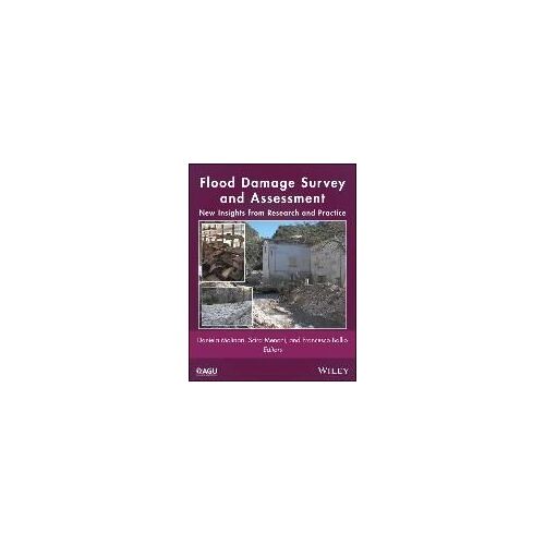 Flood Damage Survey And Assessment