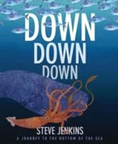Down, Down, Down: A Journey To The Bottom Of The Sea