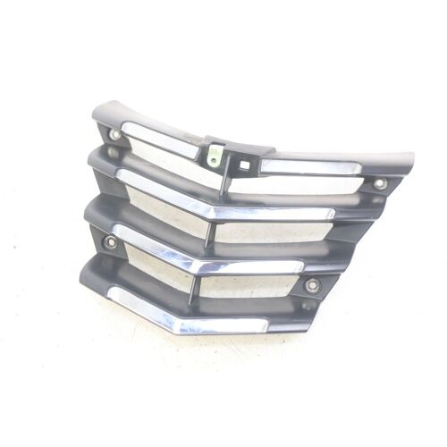 Grille Radiateur Peugeot Citystar 125 2011 - 2017 / 178067
