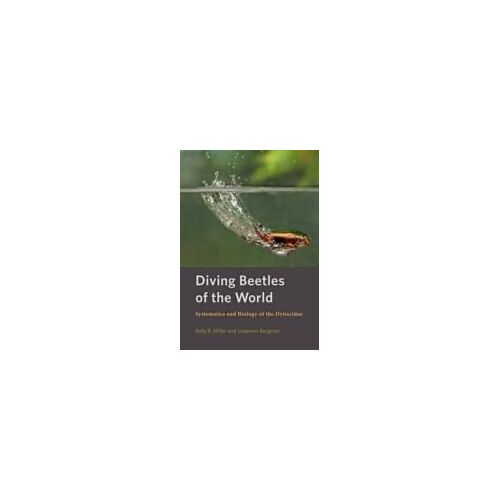 Diving Beetles Of The World