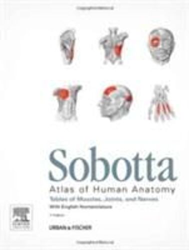 Sobotta Tables Of Muscles, Joints And Nerves, English