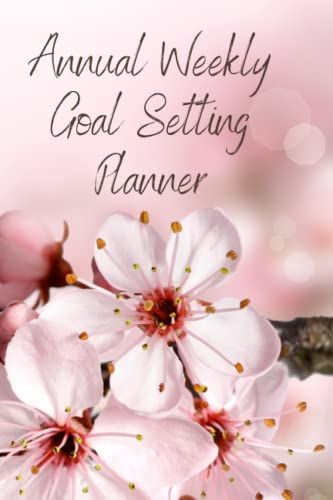 Annual Weekly Goal Setting Planner: Annual Weekly Goal Setting Planner 6x9 Adult Or Youth Log Book, Helps With Accomplishing Daily Tasks With 72 Pages