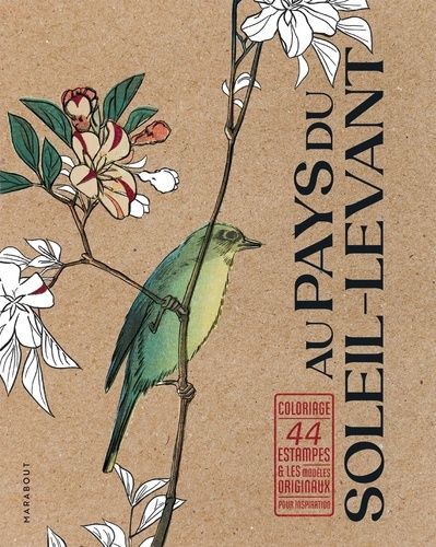 Au Pays Du Soleil-Levant - Coloriage, 44 Estampes Et Les Modèles Originaux Pour Inspiration