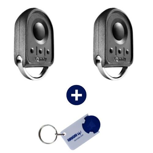 SOMFY - Lot de 2 Télécommandes 4 canaux Keygo RTS - 433.42 MHz - 1841064 + porte clés DOMOBIP