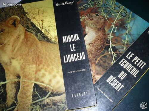(Lot De 2 Albums) W.Disney 1959 Hachette