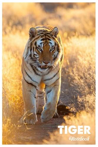 Notebook - The Animal Mini Journal Notebook For Baby, Notebook For Kid 209: Zoo Animals 108_ 6in X 9in X 114 Pages White Paper Blank Journal With Black Cover Perfect Size