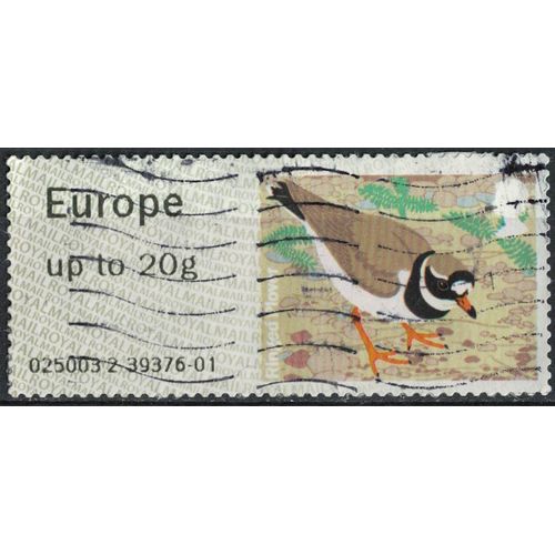 Royaume Uni 2011 Vignette Bird Oiseau Ringed Plover Pluvier Annelé Su