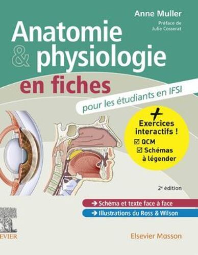 Anatomie Et Physiologie En Fiches Pour Les Étudiants En Ifsi