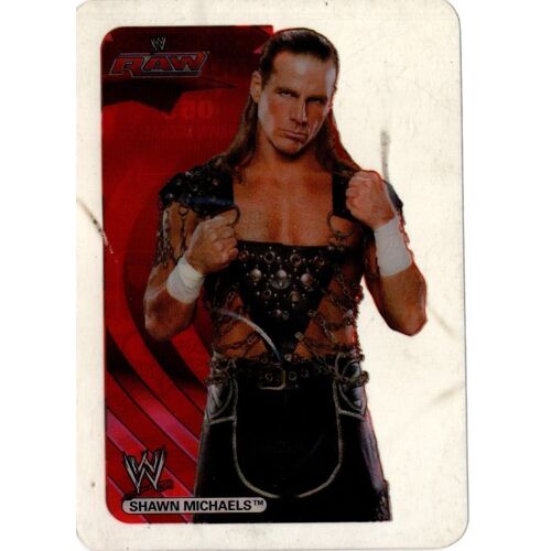 Lamincards 2007 Shawn Michaels 053