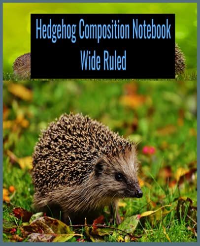 Hedgehog Composition Notebook Wide Ruled: Grey - Beautiful Hedgehog On Each Page To Make You Smile All Day At School, A Nice Gift For A Friend ... Cute Hedgehog, Lined Workbook