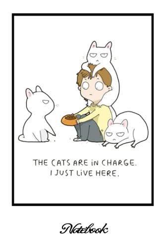 Notebook - Comic Book Journal 244: Cat Comic, Cat Motto Of The Day..._6in X 9in X 114 Pages White Paper Blank Journal With Black Cover Perfect Size