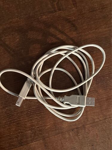 Cable USB de remplacement pour imprimante Canon ou ancien disque dur 