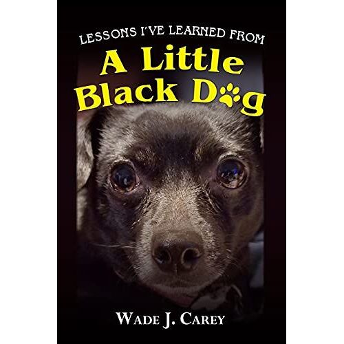 Lessons I've Learned From A Little Black Dog