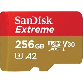Carte mémoire SanDisk Extreme microSDXC 256 Go Class 10, UHS-I, UHS-Class 3, v30 Video Speed Class