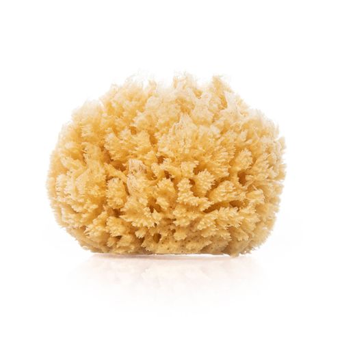 Eponge De Mer Naturelle 