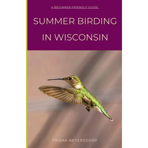 Summer Birding In Wisconsin: Relate To A Fellow Birder And Learn About Some Of The Most Captivating Species That Call Wisconsin Home