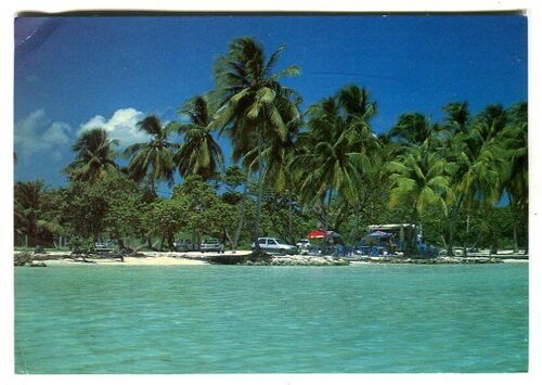 Carte Postale - Plage De Sainte Anne - Antilles - Guadeloupe