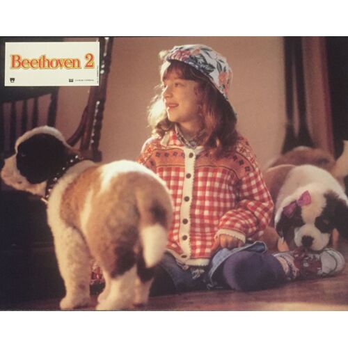 Photo Originale De Film "Beethoven 2" 21x27cm