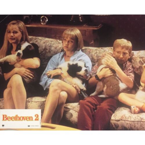 Photo Originale De Film "Beethoven 2" 21x27cm