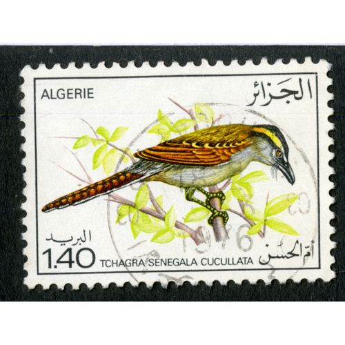Timbre Oblitéré Algérie, Tchagra Senegala Cucullata, 1.40