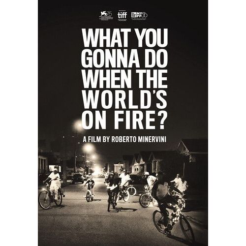 What You Gonna Do When The World's On Fire [Dvd]