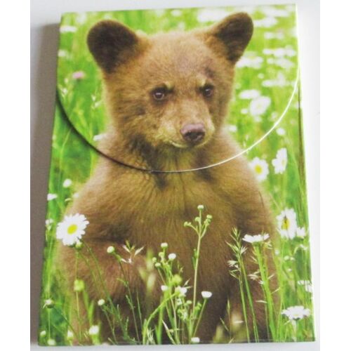Petit Bloc Notes De 35 Feuillets Détachables Avec Effigie D'un Ourson (7.5x8.5cm) Dans Un Étui Carton Rigide Décoré D'un Ours Brun Dans Un Champ De Fleurs- Fermeture Par Rabat Magnétique- Mention Ifaw