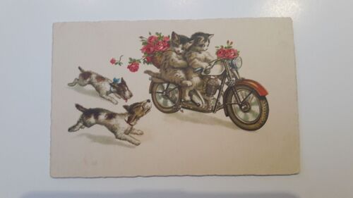 Carte Postale Ancienne Fantaisie Chats Sur Moto