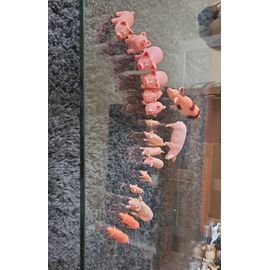 Sacrés Cochons ! 17 Petits Cochons En Plastique