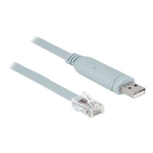 Delock - Câble série - USB (M) pour RJ-45 (M) - 1 m - EIA-232 - gris