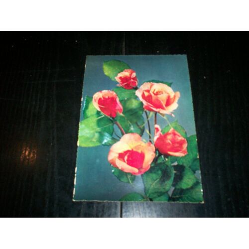 Carte Postale Ancienne D'italie Roses