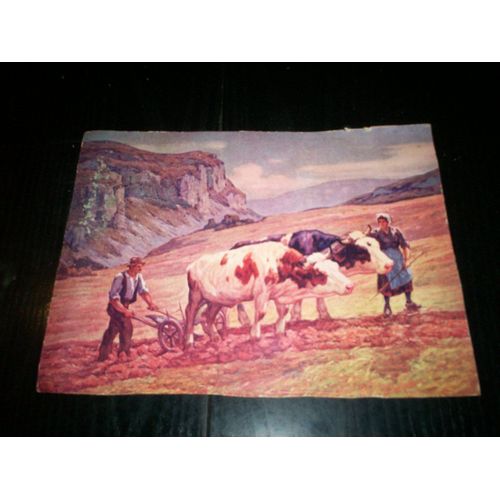 Gravure Ancienne Laboureurs
