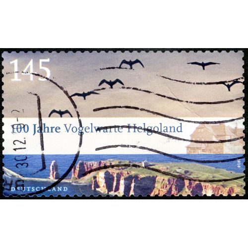 Timbre Oblitéré Deutschland, 100 Jahre Vogelwarte Helgoland, 2010, 145