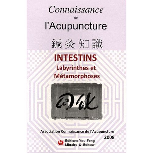 Connaissance De L'acupuncture - Intestins - Labyrinthe Et Métamorphoses