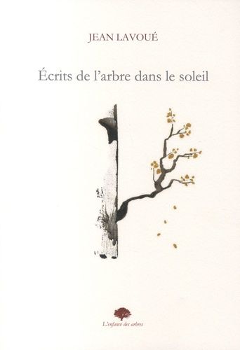 Ecrits De L'arbre Dans Le Soleil