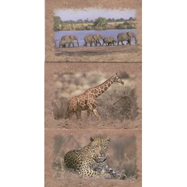 Lot 3 Cartes Animaux Africains