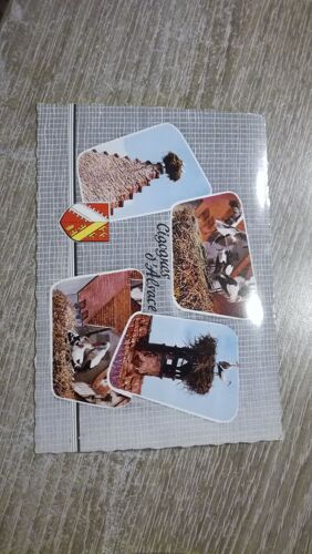 Carte Postale Cigognes D Alsace Cpsm Dentelée,Cp Animée Cigognes Cheminée,Souvenir D'alsace,Cp Multivue En L'état Sur Les Photos