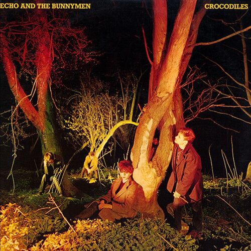 Echo And Bunnymen