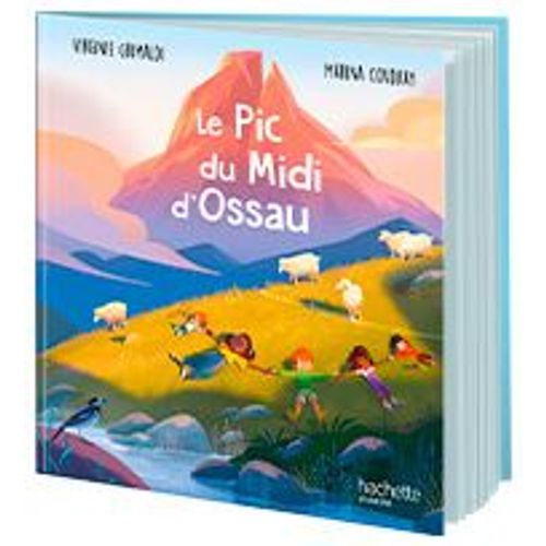 Le Pic Du Midi D'ossau