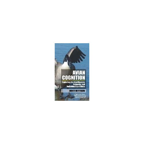 Avian Cognition